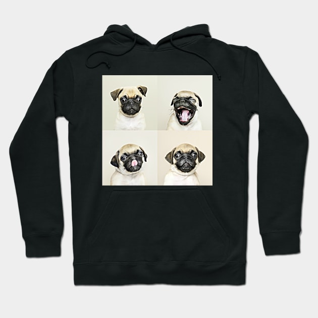 The Four Faces Of Pug Hoodie by cameradog